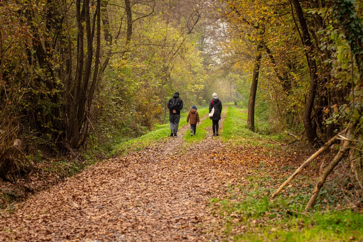 Autumn Conker Hunt: A Seasonal Family Guide